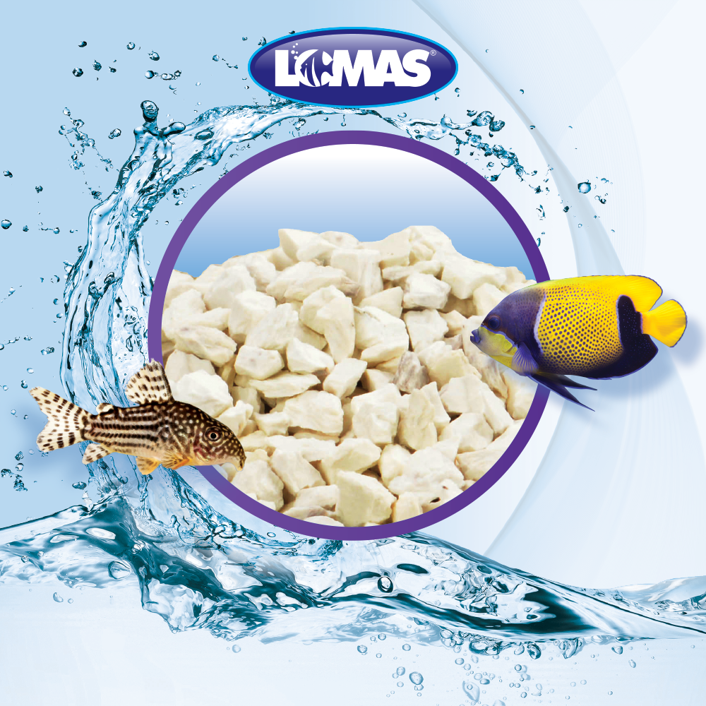 ANILLOS DE CERAMICA 450 G