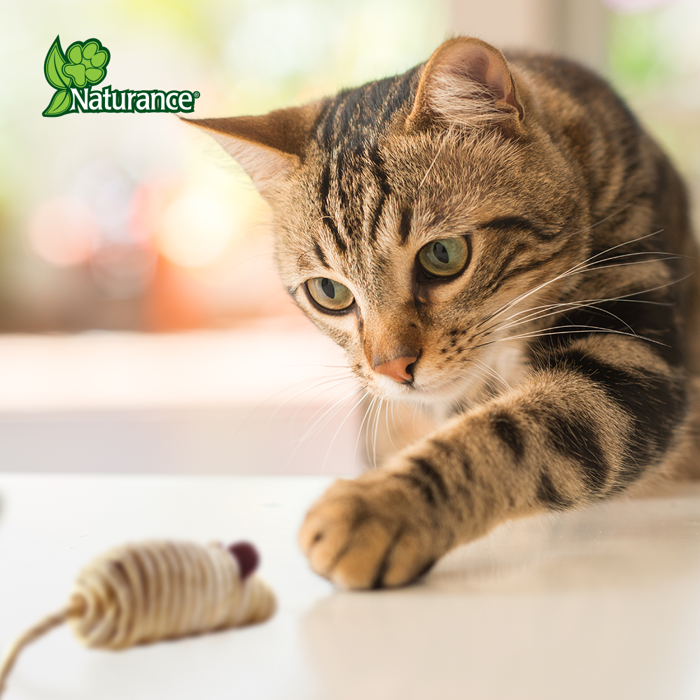 JUGUETE RATON ECOPLAY 2 PZ