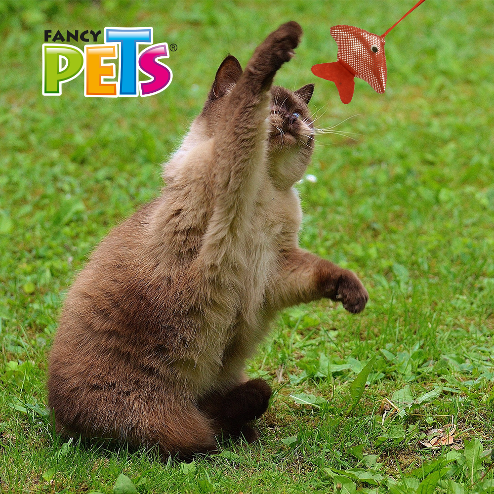 JUGUETE CAÑA DE PESCAR FANCY PETS - 30 CM