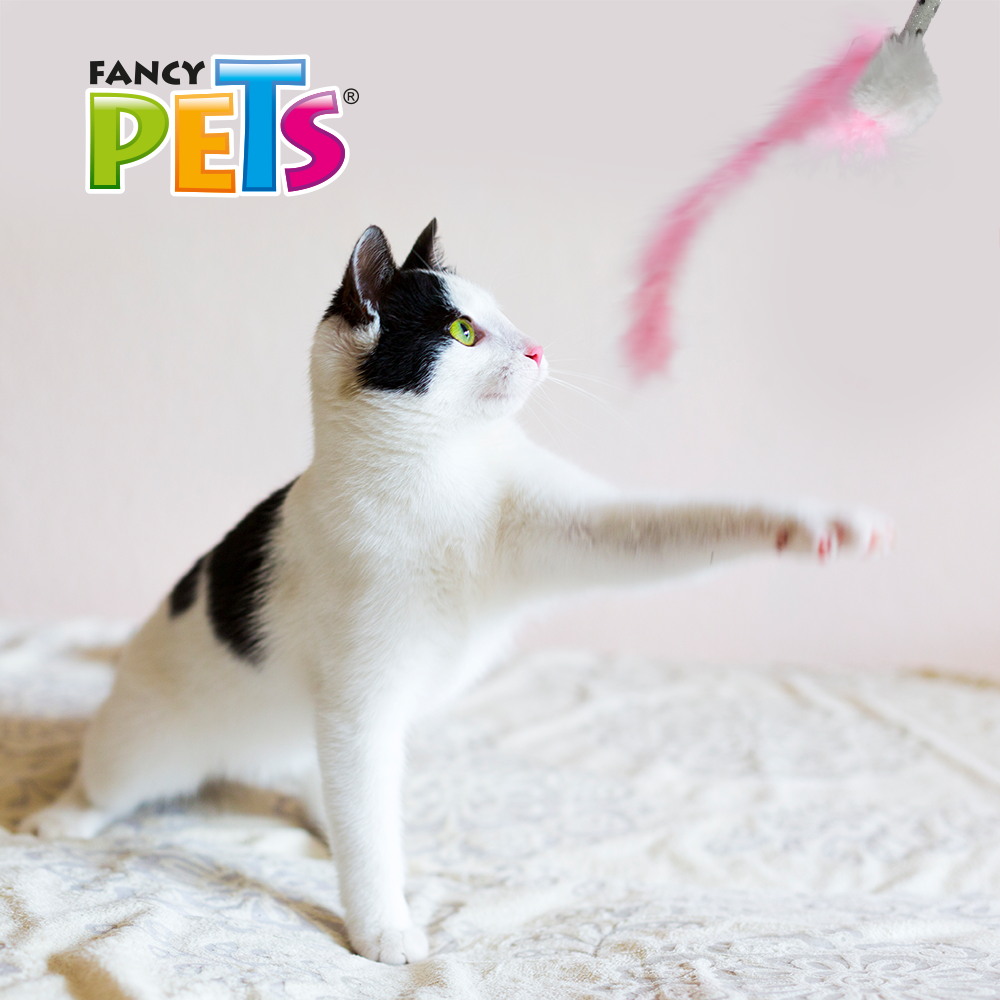 JUGUETE LAZO DE PELUCHE FANCY PETS