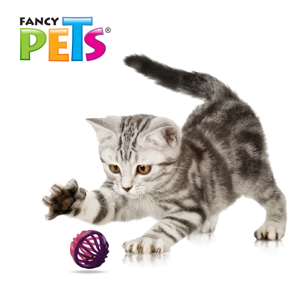 JUGUETE PELOTA BICOLOR FANCY PETS - 4 PZ
