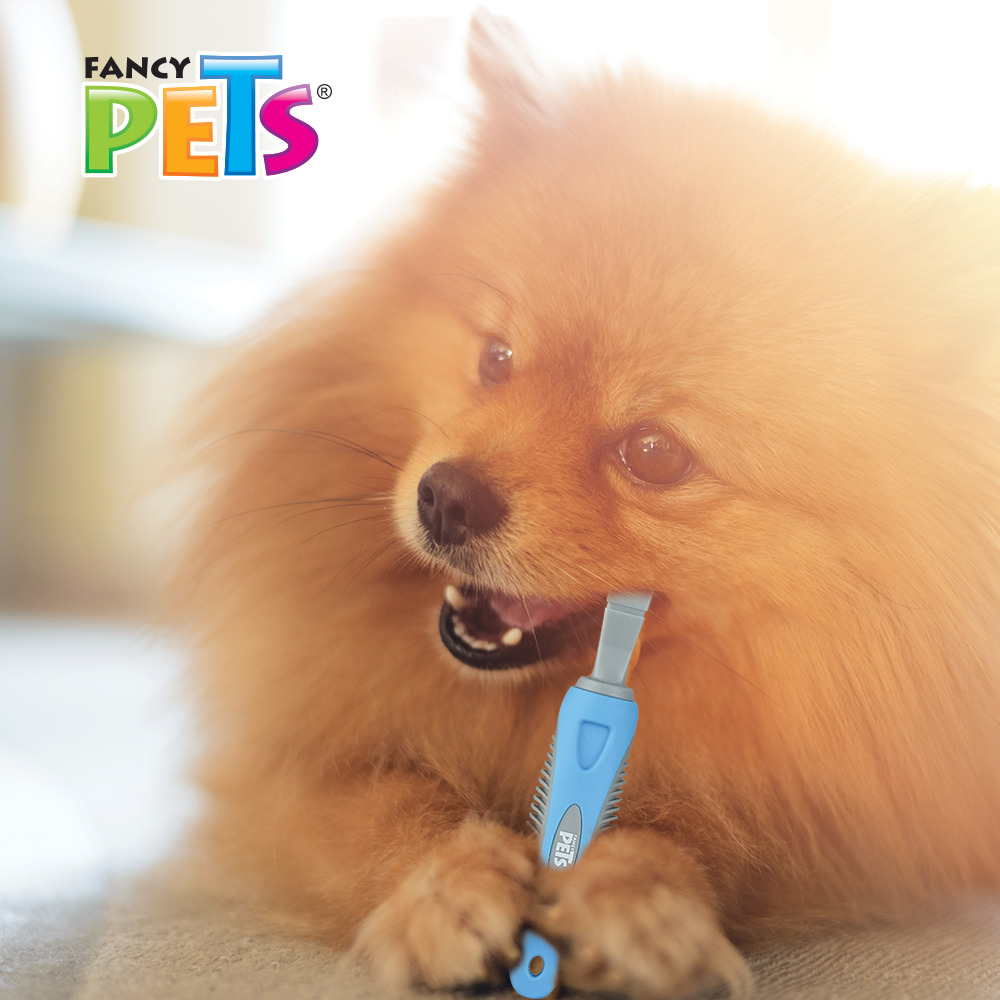 CEPILLO DE DIENTES P/PERRO FANCY PETS
