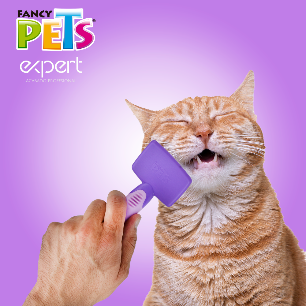 CEPILLO C/PUNTAS REDONDEADAS EXPERT FANCY PETS