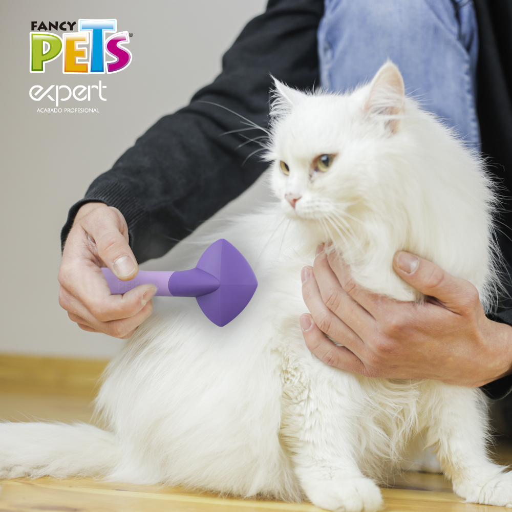 CARDA P/GATO EXPERT FANCY PETS