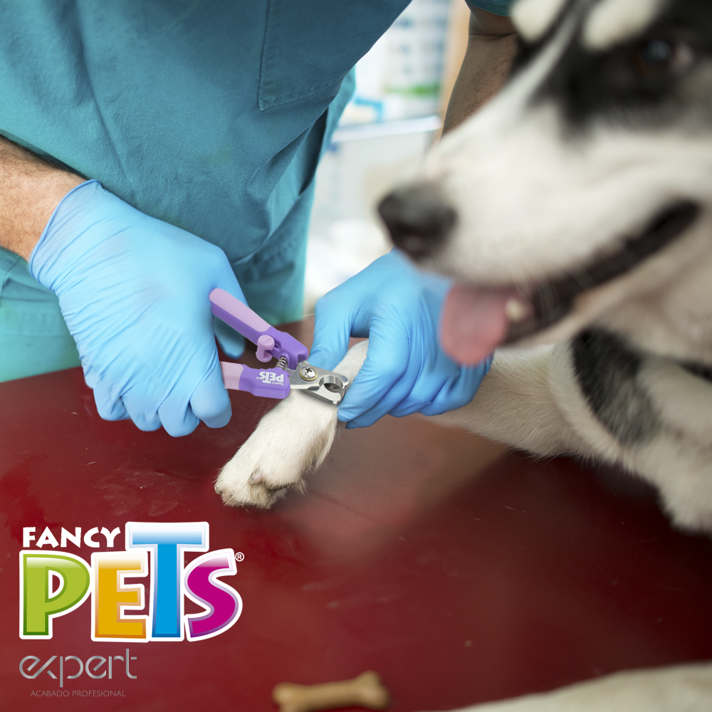 CORTAUÑAS C/LIMA P/GATO EXPERT FANCY PETS