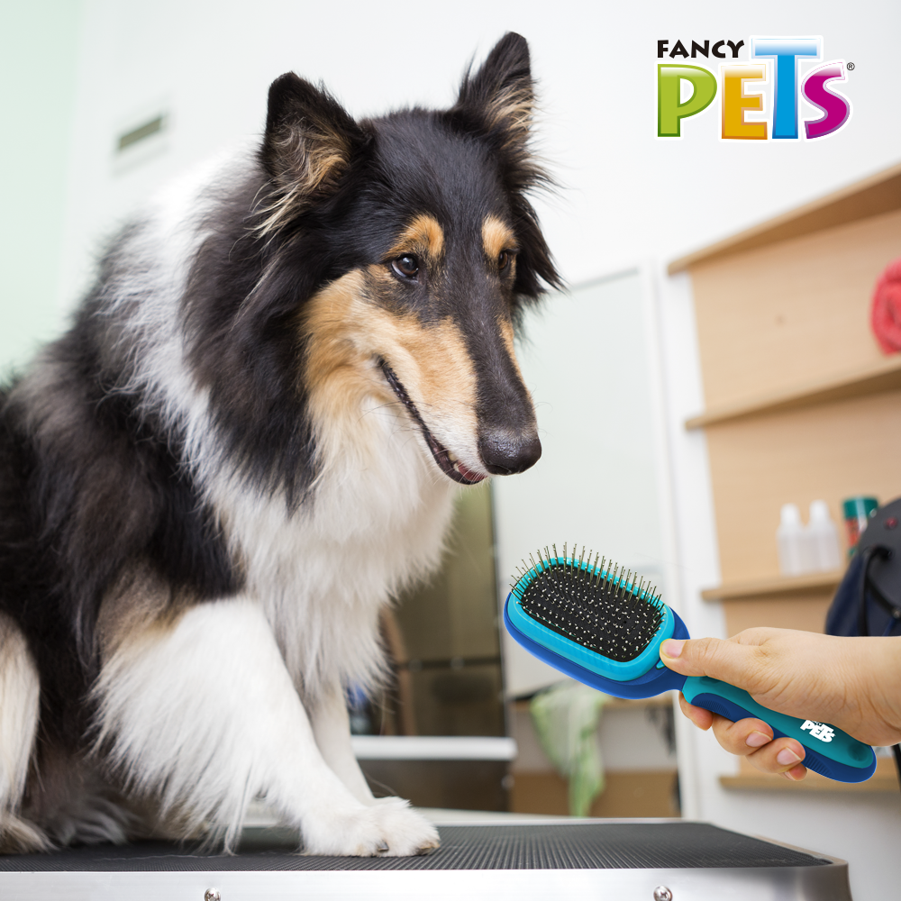 CEPILLO MULTIFUNCIONAL 5 EN 1 FANCY PETS