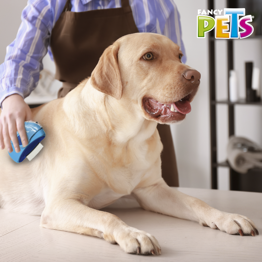 PEINE GIRATORIO 3 EN 1 FANCY PETS