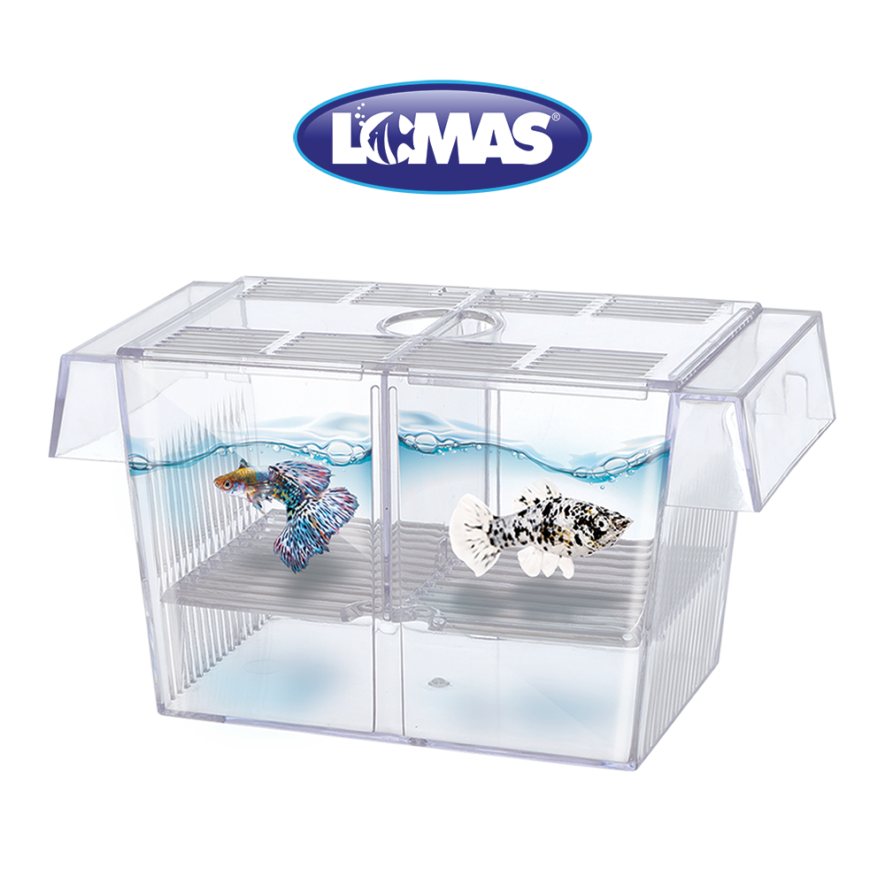 MATERNIDAD FLOTANTE 1.4 L