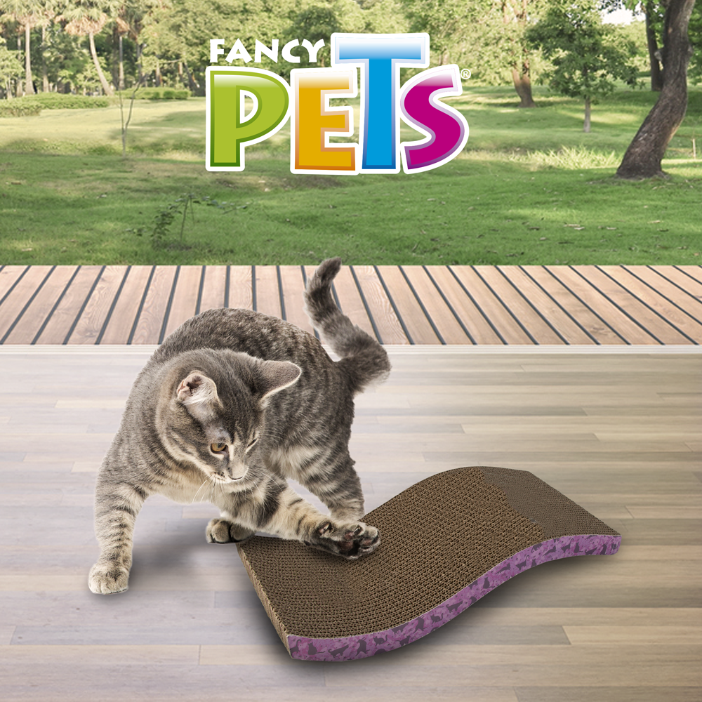 RASCADOR DE ONDA 44 CM FANCY PETS