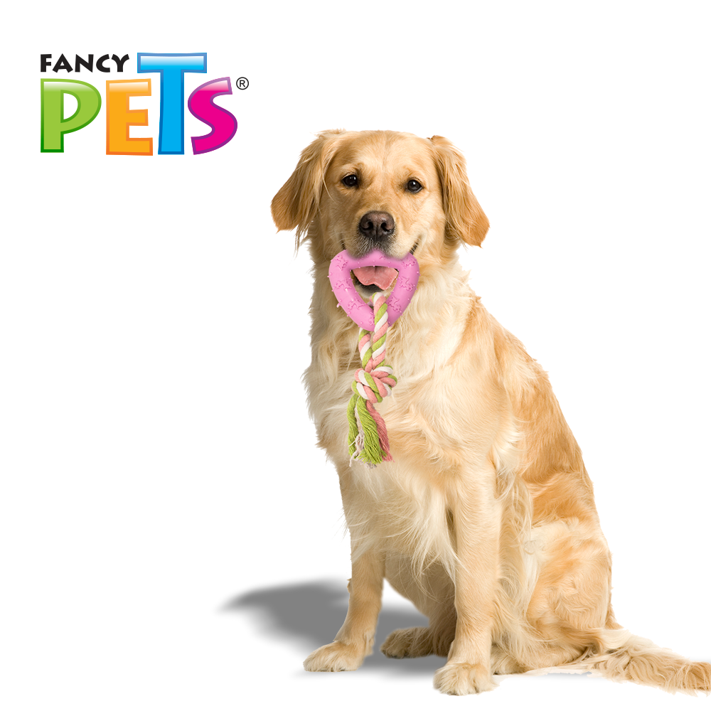 JUGUETE CUERDA C/TRIANGULO DE CAUCHO FANCY PETS