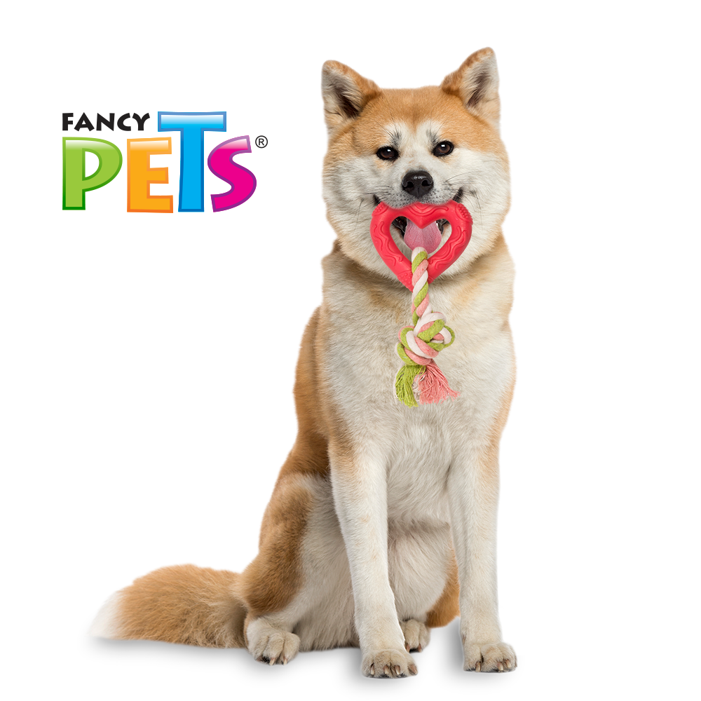 JUGUETE DE CAUCHO CORAZON C/CUERDA FANCY PETS