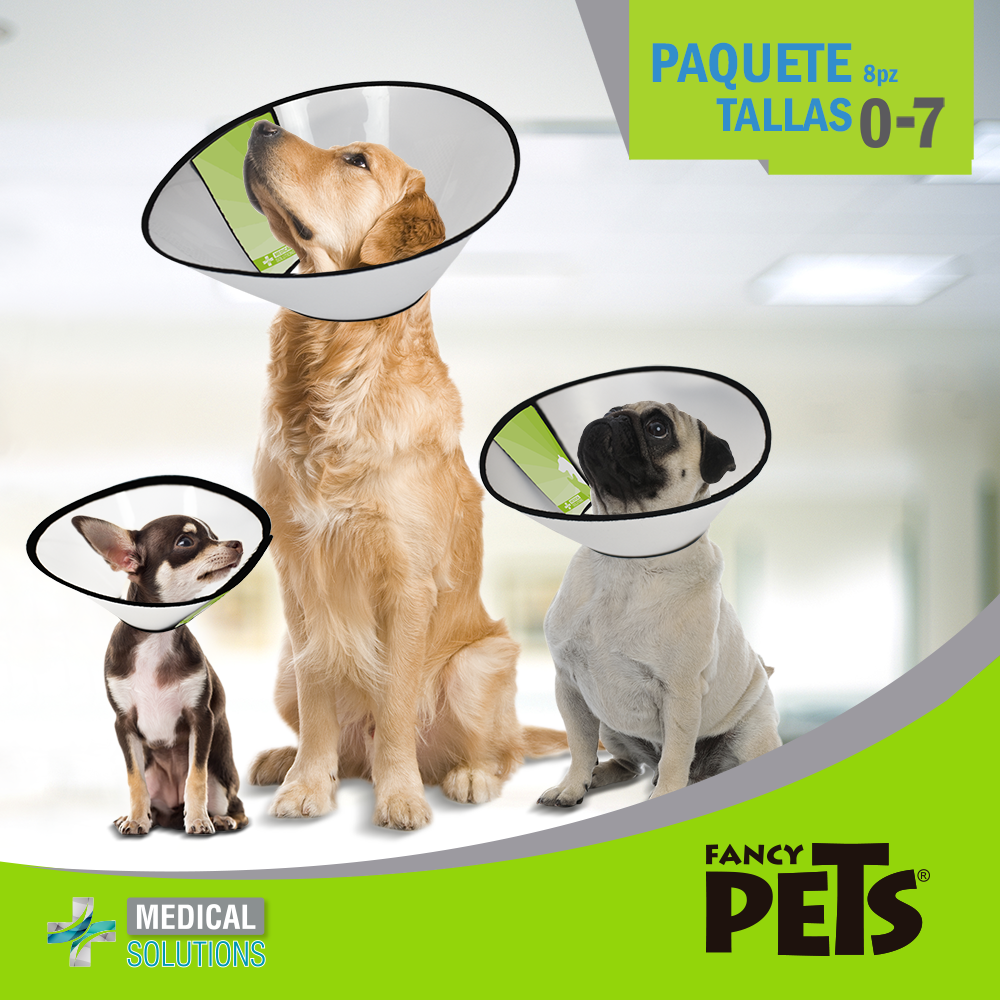 MS PAQUETE COLLARES ISABELINOS (TALLA 0 A 7) - 8 PZ
