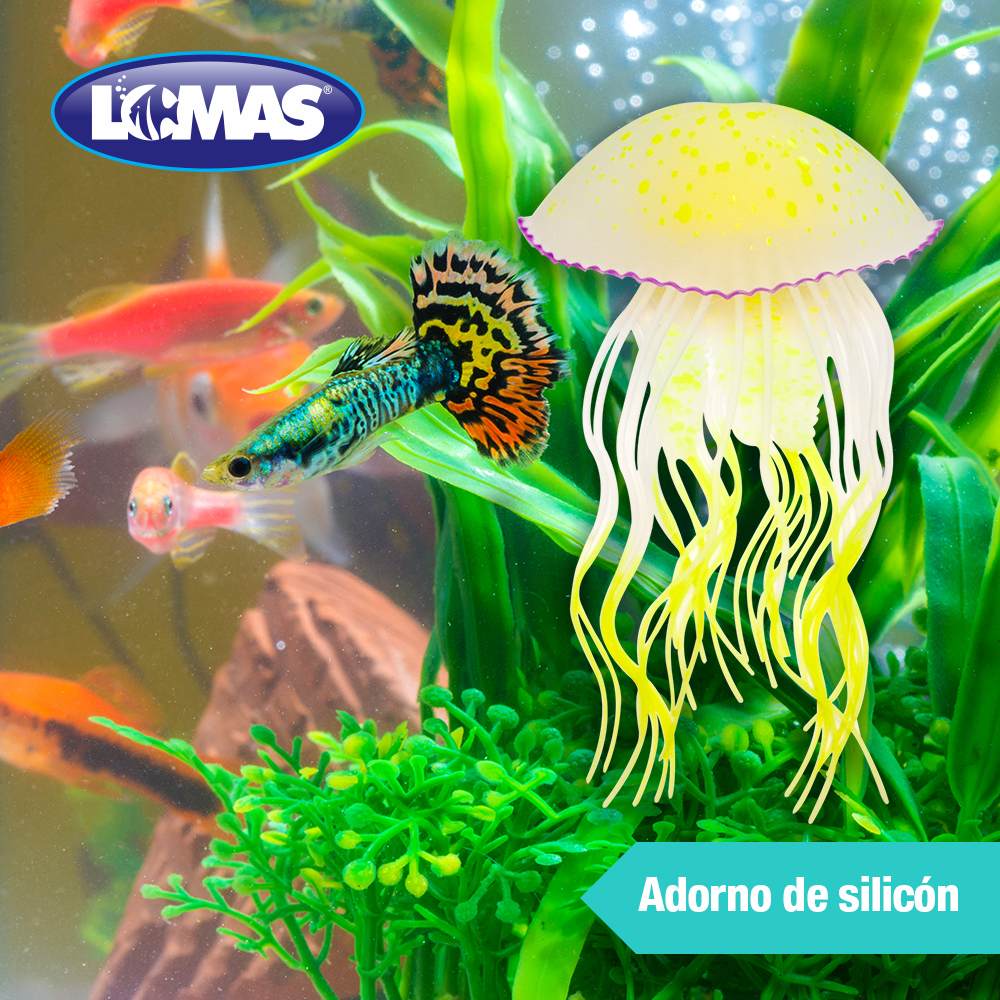 MEDUSA FLUORESCENTE CARIBE DE SILICON