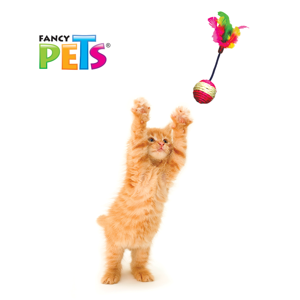 CAJA DE JUGUETES P/GATO - 48 PZ FANCY PETS