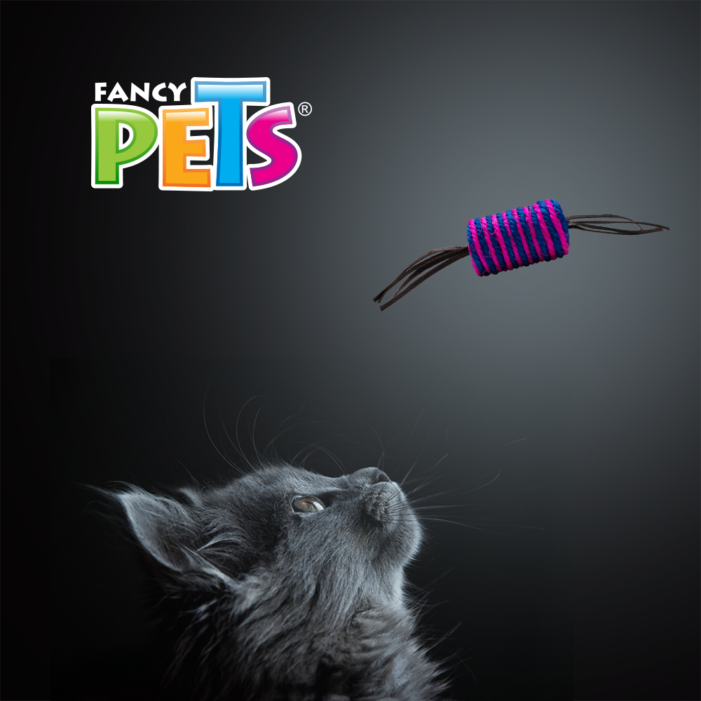JUGUETE CILINDRO C/LIENZOS FANCY PETS