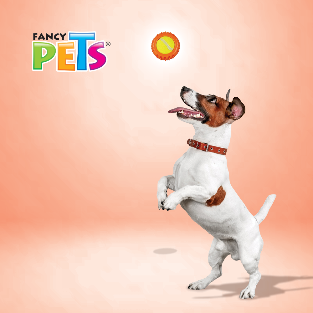 JUGUETE BOLA C/PELOTA DE TENIS FANCY PETS