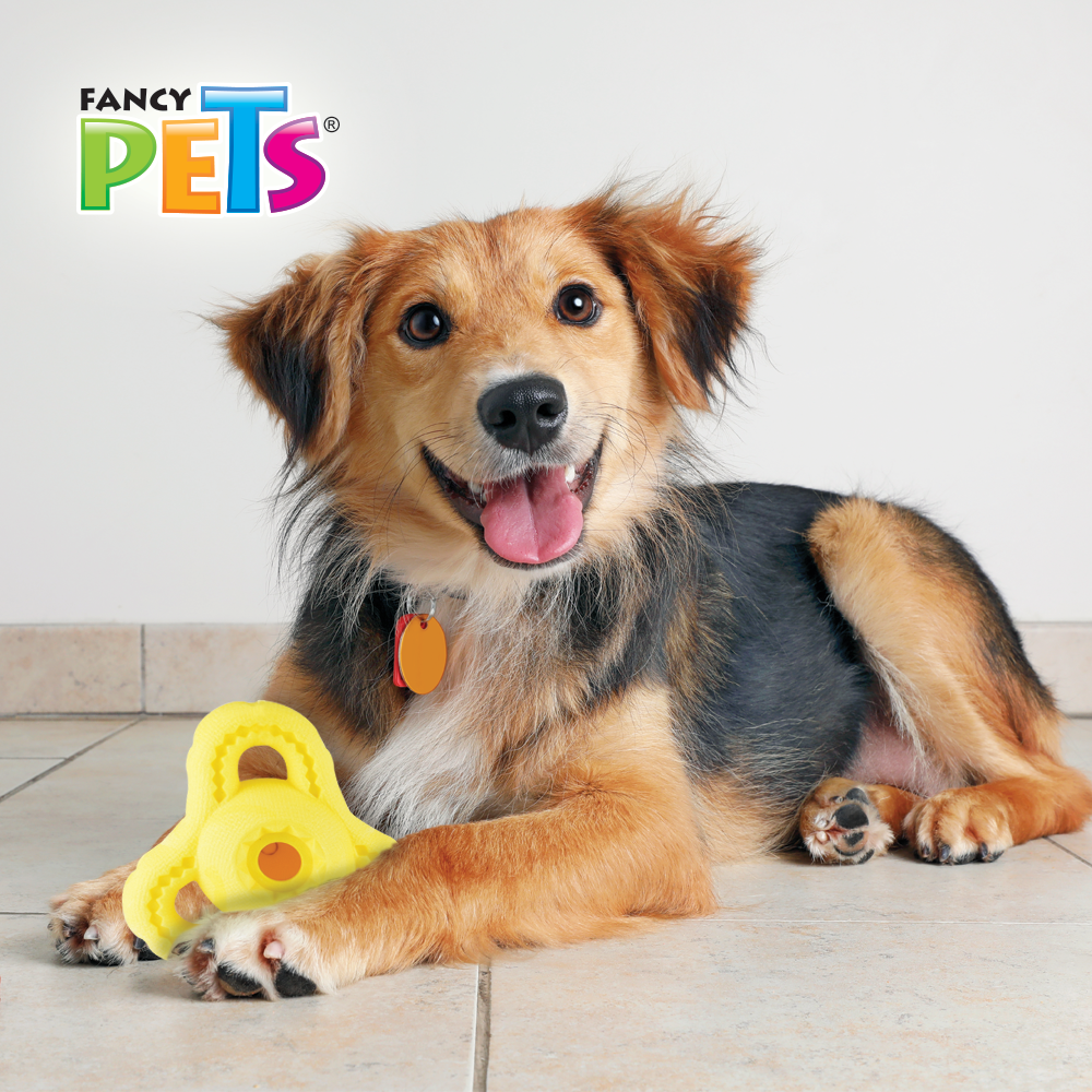 JUGUETE ATOMO CHEW FANCY PETS