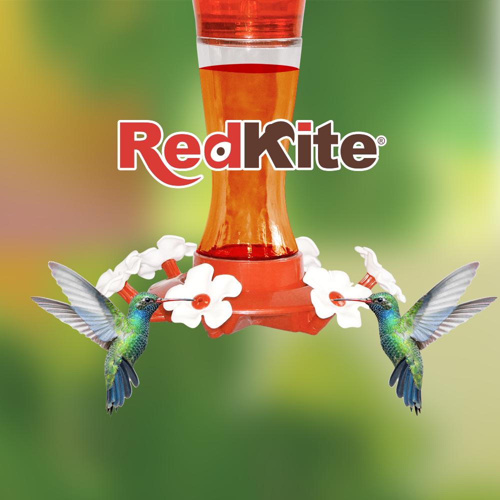 BEBEDERO DE VIDRIO P/COLIBRI 590 ML REDKITE