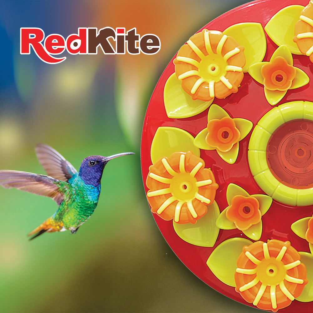 BEBEDERO DISCO FLORAL P/COLIBRI 500 ML REDKITE