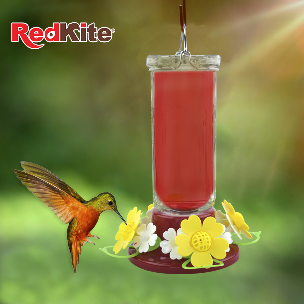 BEBEDERO DE VIDRIO PRISMA P/COLIBRÍ 600 ML REDKITE