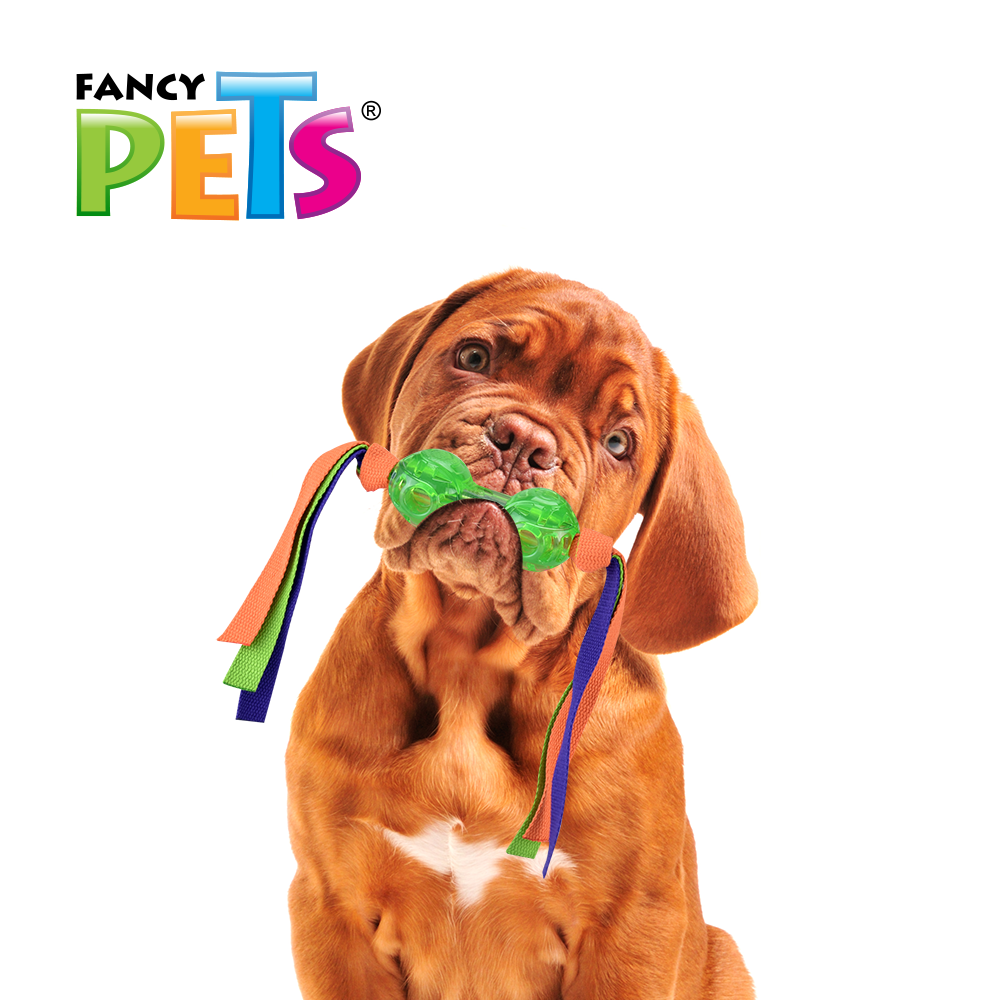 JUGUETE PESA C/CINTAS PLAY FANCY PETS