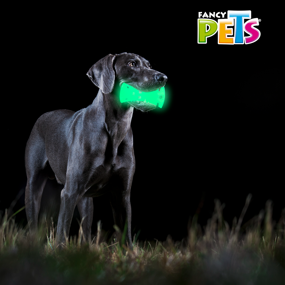 JUGUETE HUESO GLOW FANCY PETS