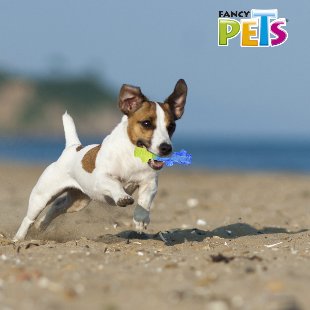 JUGUETE TRONCO CONGELABLE COOL FANCY PETS