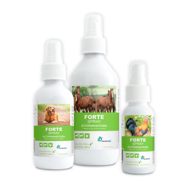 FORTE SPRAY - MEDERILAB