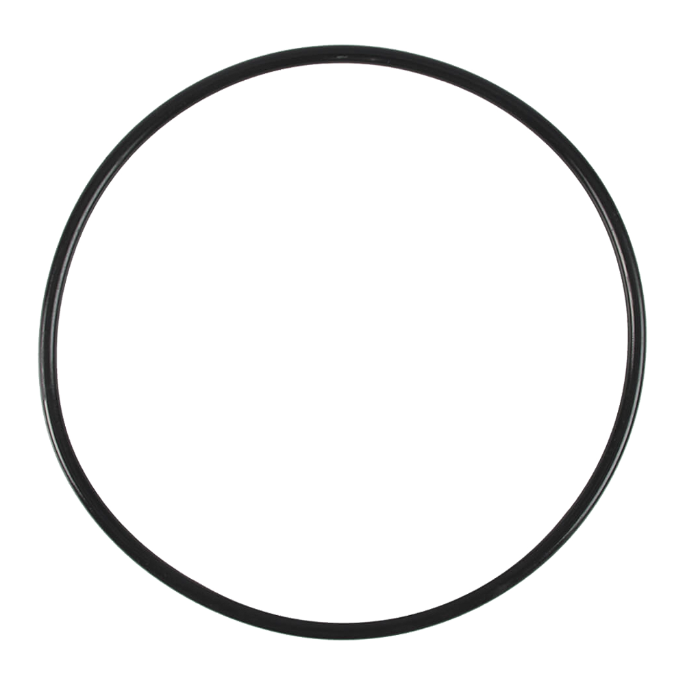 REPUESTO EMPAQUE CIRCULAR MOTOR FLUVAL 307/407 HAGEN