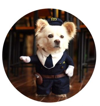 HW06 Disfraz Policía, Paw Pets