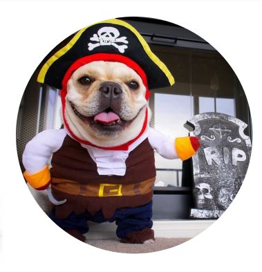 HW09 Disfraz Pirata, Paw Pets