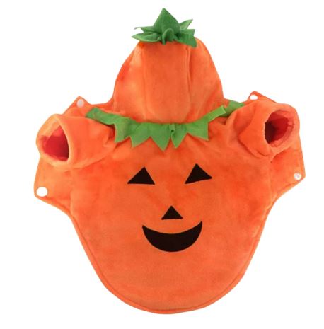 HW29 Disfraz Calabaza, Paw Pets