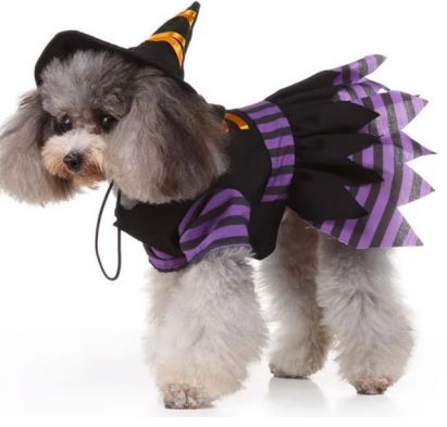 HW24 Vestido Bruja, Paw Pets