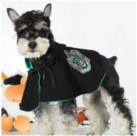 HW73 Bata Slytherin, Paw Pets