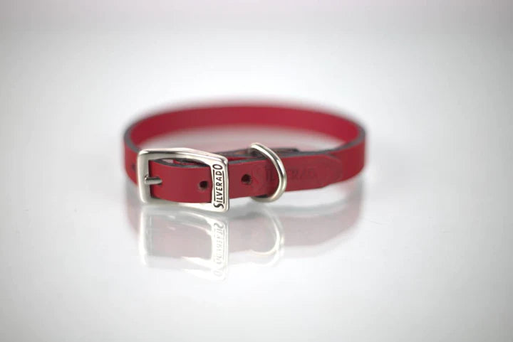 COLLAR DE PIEL LISO 1CM - SILVERADO