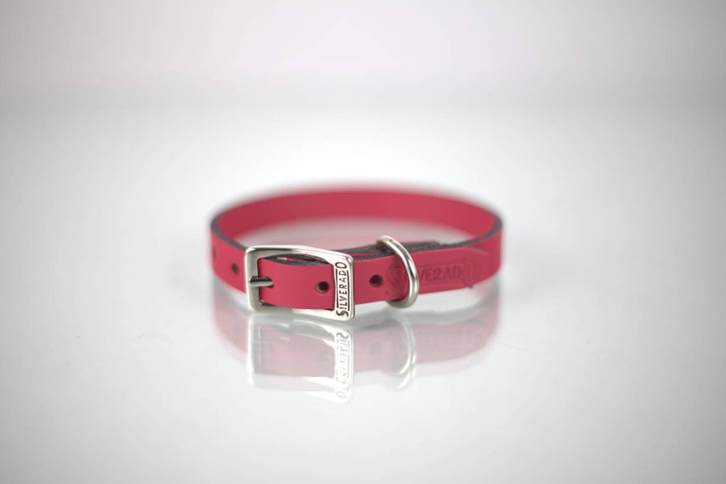 COLLAR DE PIEL LISO 1CM - SILVERADO