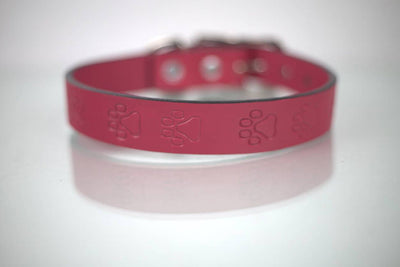 COLLAR DE PIEL GRABADO - SILVERADO