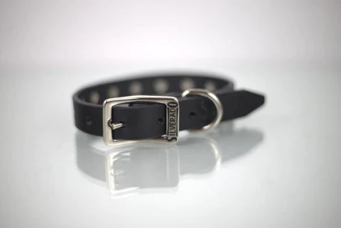 COLLAR DE PIEL CON APLICACIÓN METALICA ESTOPEROL 1CM - SILVERADO