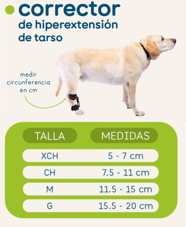 CORRECTOR DE HIPEREXTENSIÓN DE TARSO - ORTOVETS