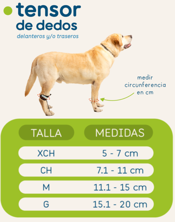 TENSOR DE DEDOS CORRECTOR DE DÉFICIT PROPIOCEPTIVO - ORTOVETS