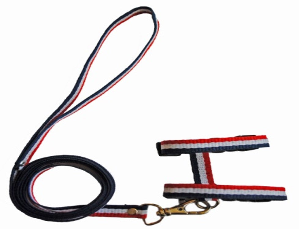 JUEGO DE PECHERA Y CORREA PARA HURÓN 10MM (varios colores) - SILVERADO