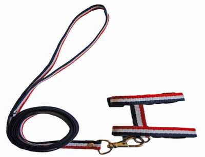 JUEGO DE PECHERA Y CORREA PARA HURÓN 10MM (varios colores) - SILVERADO