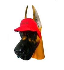 GORRA SILVERADO - SILVERADO