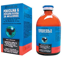 PENICILINA G PROCAINA OLEOSA 30 MILL 100ML - TORNEL