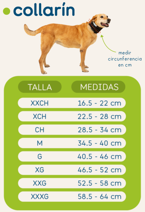 COLLARÍN INMOVILIZADOR - ORTOVETS