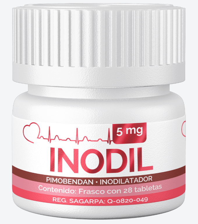INODIL 28 TABLETAS - SANTGAR