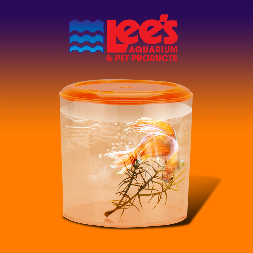 BETERA REDONDA CON TAPA CH LEES