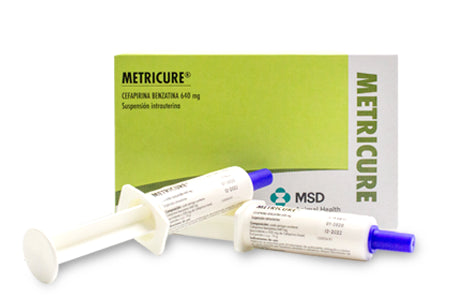 METRICURE JERINGA - MSD