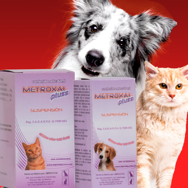 METROXAL PLUS SUSPENSION 60ML - DIPROFAQ