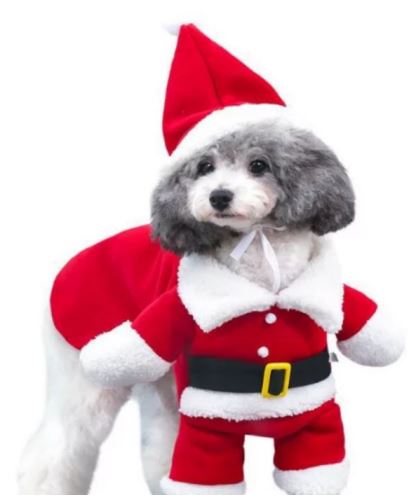 NV23 Disfraz de Santa Claus, Paw Pets